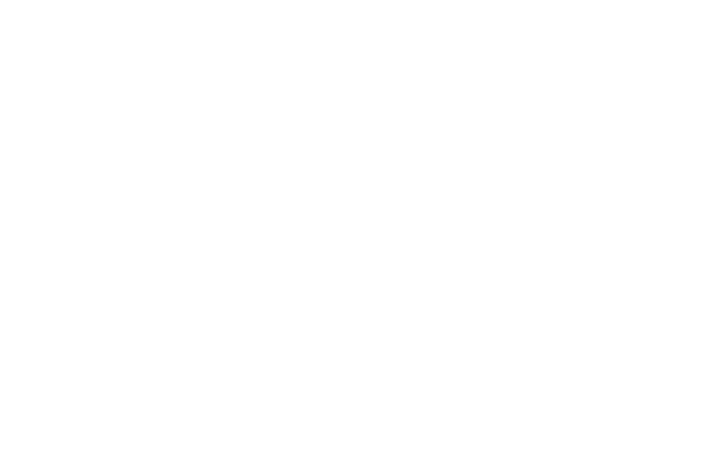 transparent empty image