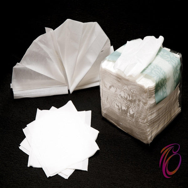 Serviettes (100 sheets)