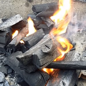 Starting a BBQ fire