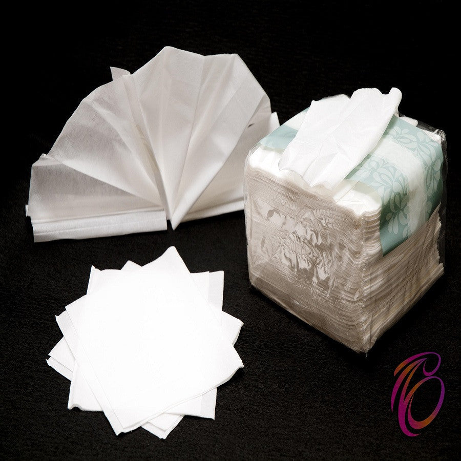Serviettes (100 sheets)